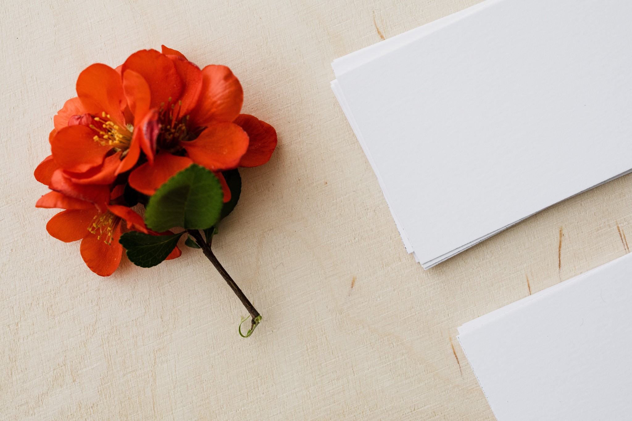 Discover the Benefits of Digital Marketing for Beauty Brands