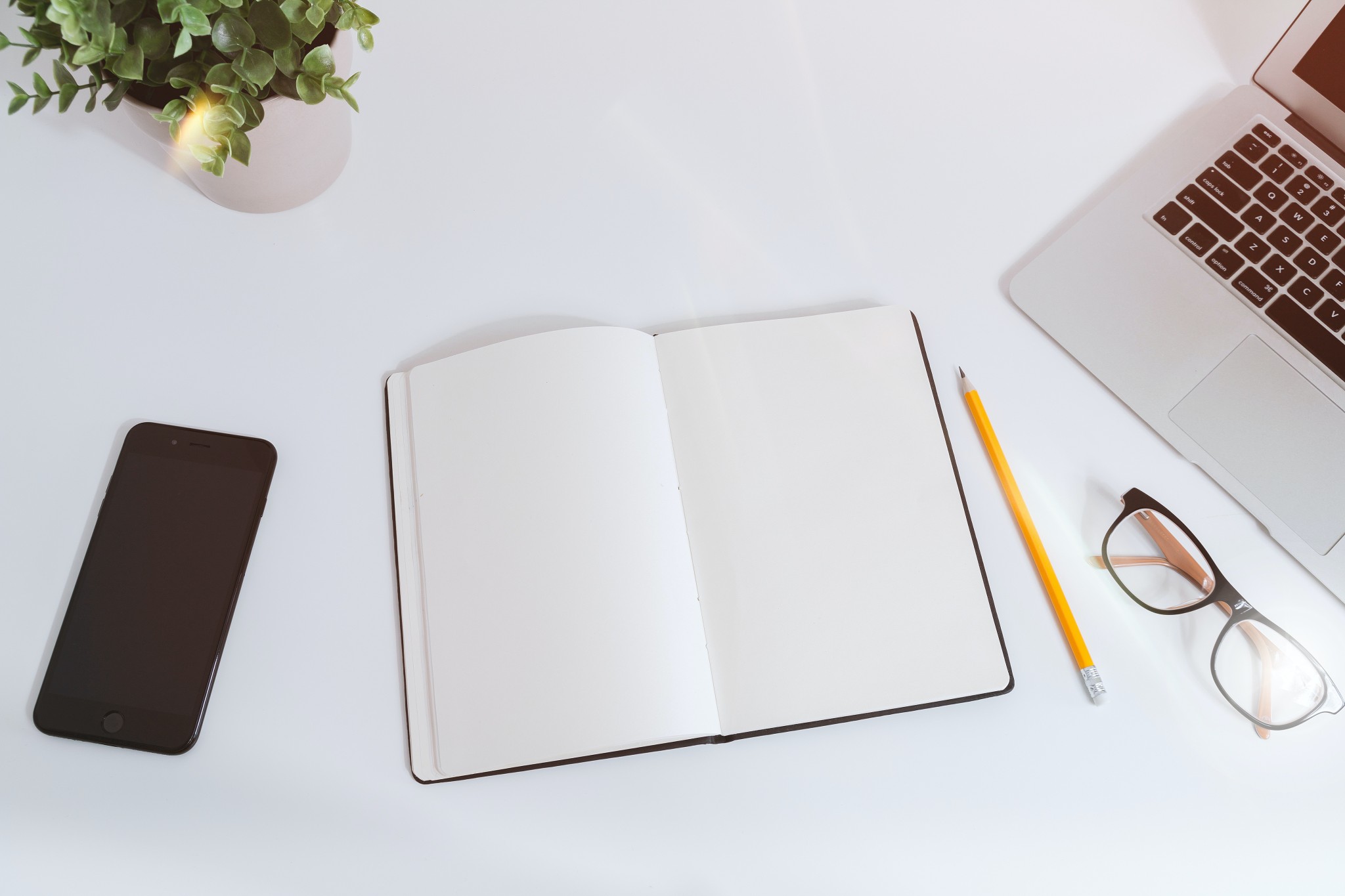 The Role of SEO for Landscapers